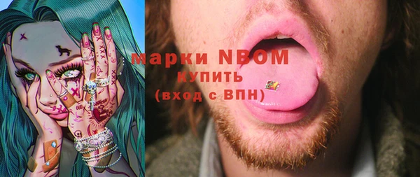 молекула духа Кулебаки